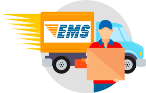 Получить проект почтой EMS