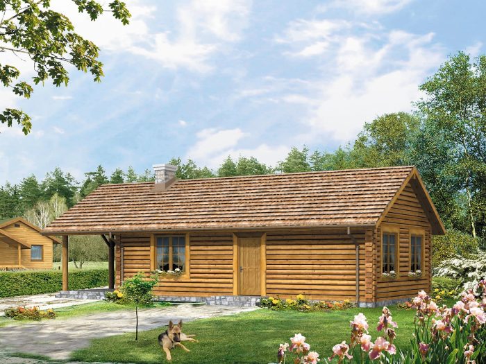 Проект одноэтажного дома OD14